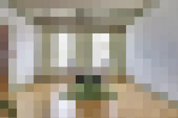 Wijngaardstraat 18 Yerseke thumbnail 11