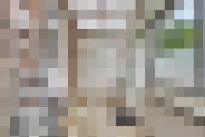 Wijngaardstraat 18 Yerseke thumbnail 15