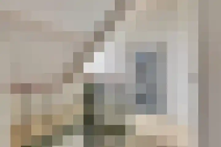 Wijngaardstraat 18 Yerseke thumbnail 19