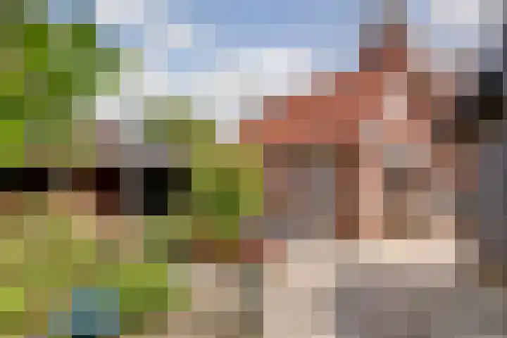 Wijngaardstraat 18 Yerseke thumbnail 25