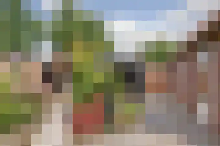 Wijngaardstraat 18 Yerseke thumbnail 29