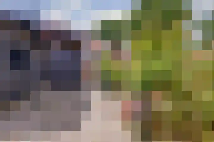 Wijngaardstraat 18 Yerseke thumbnail 30