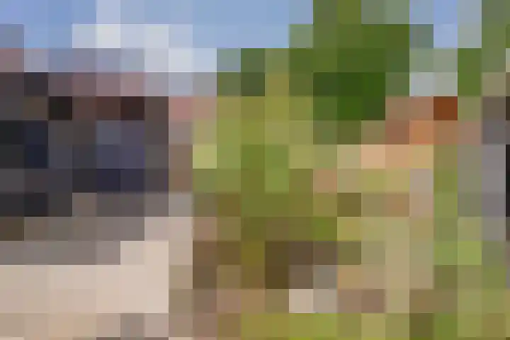 Wijngaardstraat 18 Yerseke thumbnail 31