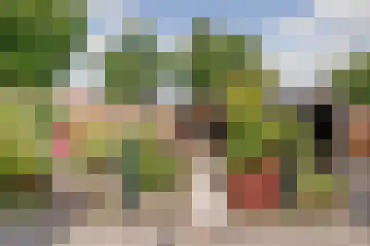 Wijngaardstraat 18 Yerseke thumbnail 32