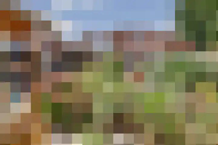 Wijngaardstraat 18 Yerseke thumbnail 33