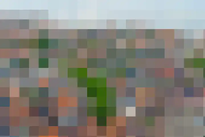 Wijngaardstraat 18 Yerseke thumbnail 37