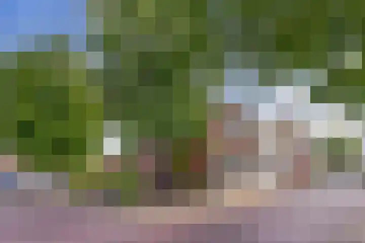 Wijngaardstraat 18 Yerseke thumbnail 4