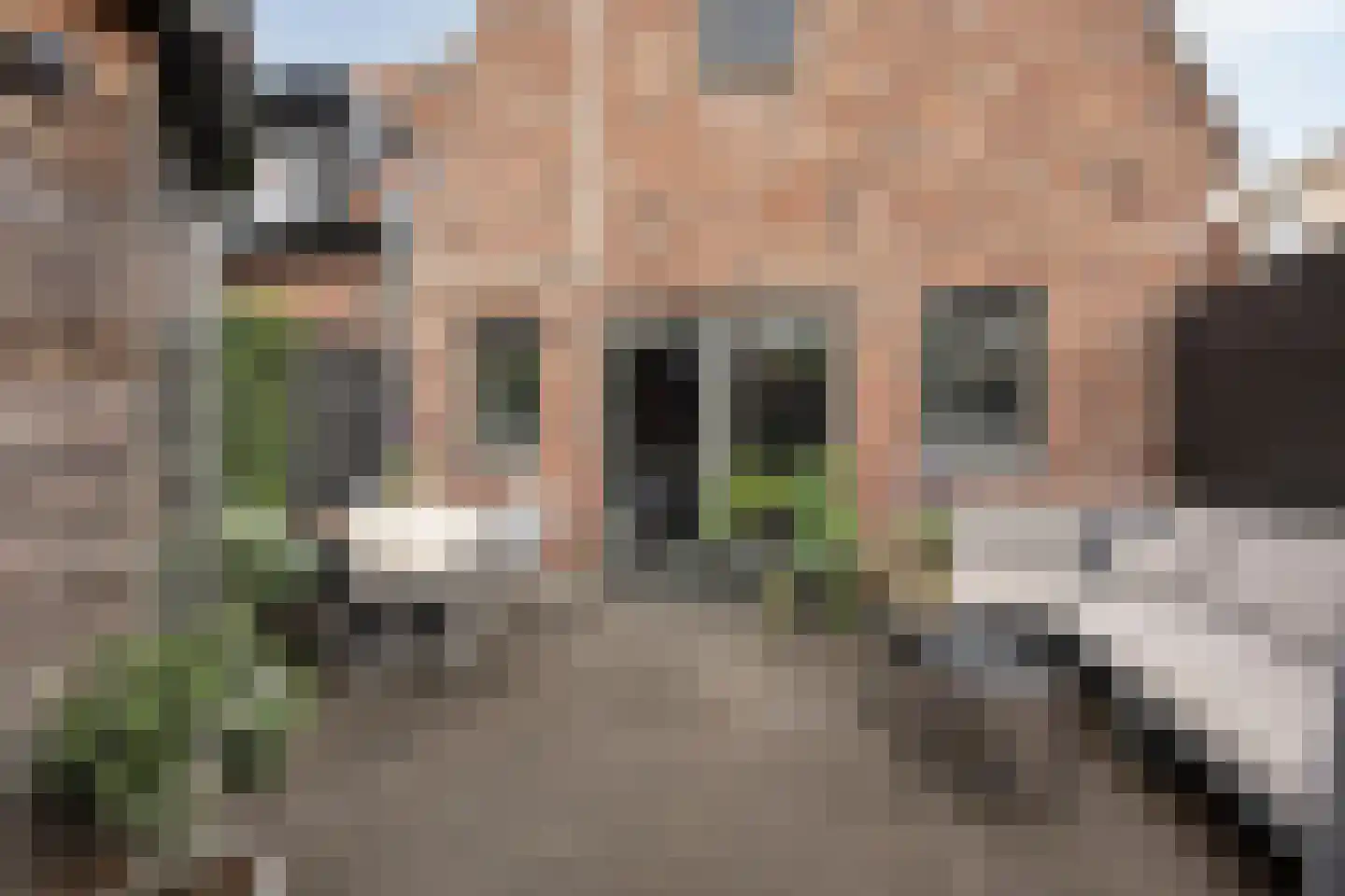 Wijngaardstraat 29 Oudewater thumbnail 17