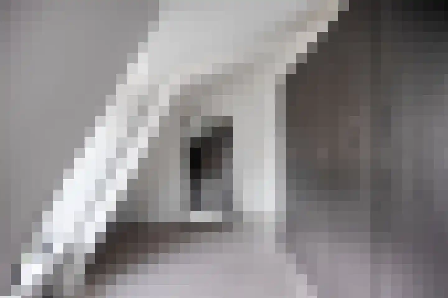 Wijngaardstraat 29 Oudewater thumbnail 33
