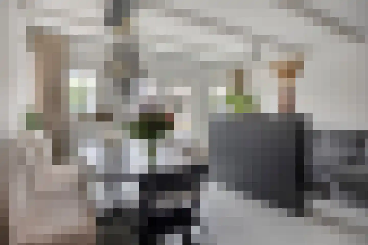Wijngaardstraat 29 Oudewater thumbnail 4