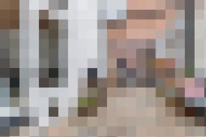 Wijngaardstraat 4 Bergen op Zoom thumbnail 13