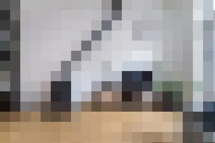 Wijngaardstraat 4 Bergen op Zoom thumbnail 8