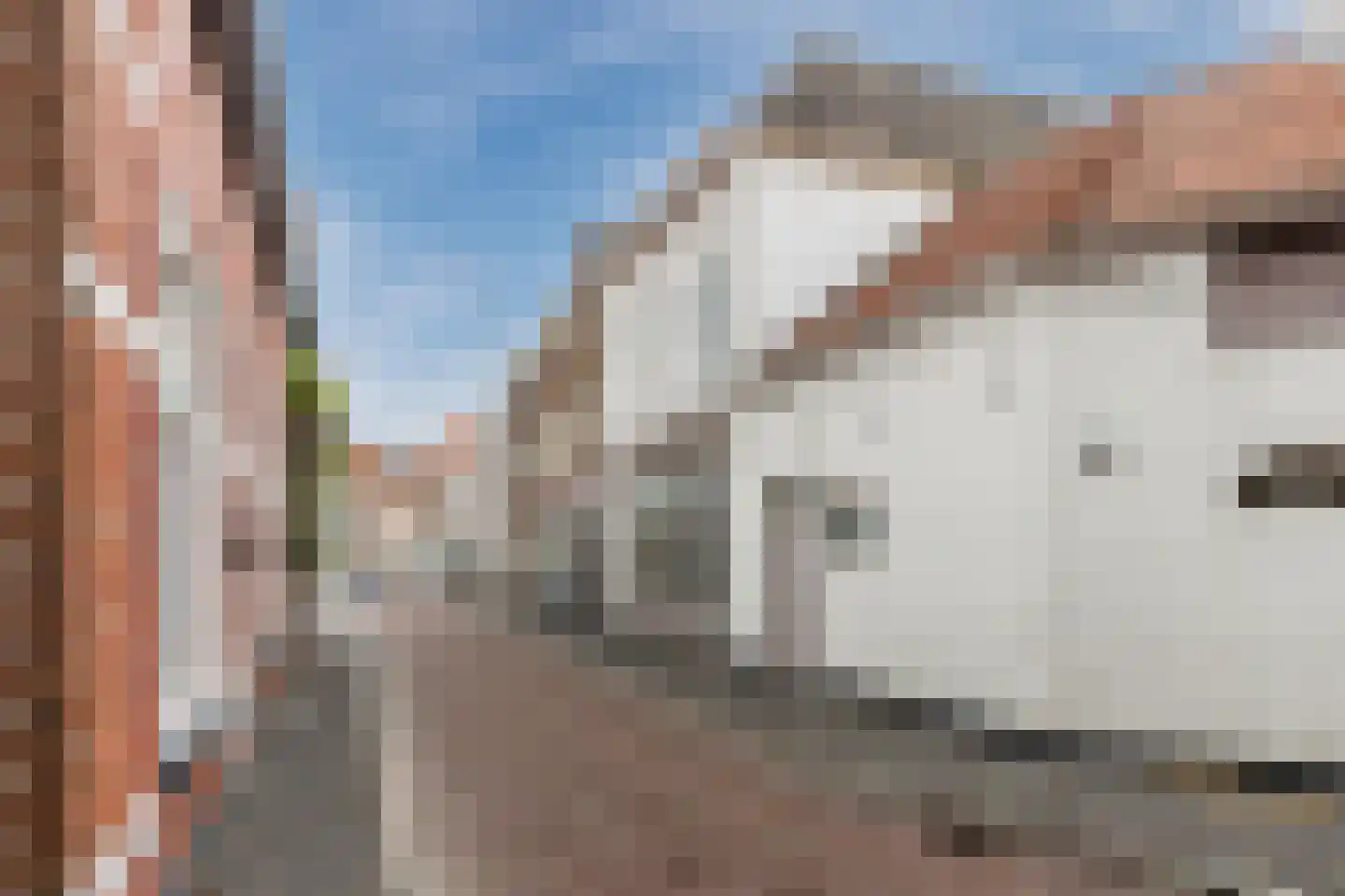 Wijngaardstraat 5 a Bergen op Zoom thumbnail 28