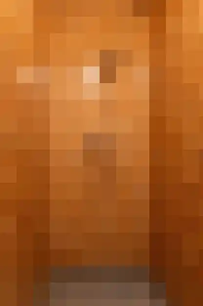 Wijngaardstraat 5 Goes thumbnail 30