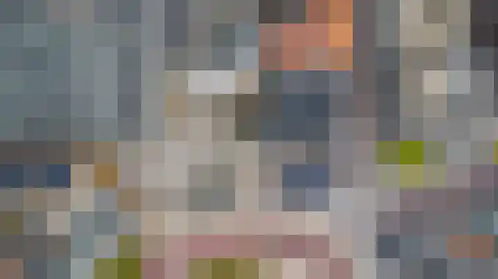 Wijngaardstraat 53 Goes thumbnail 29