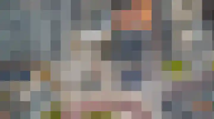 Wijngaardstraat 53 Goes thumbnail 30