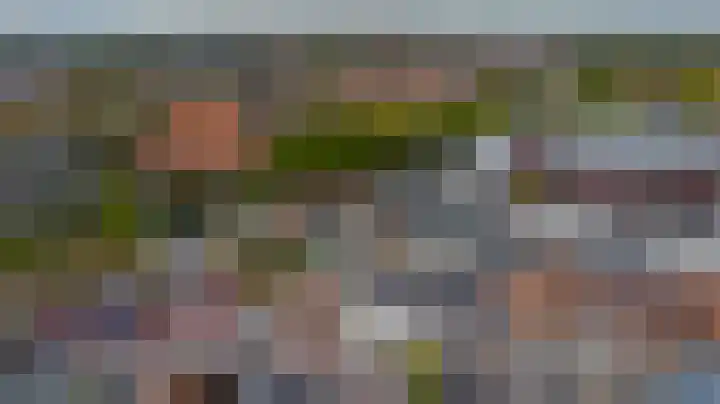Wijngaardstraat 53 Goes thumbnail 31