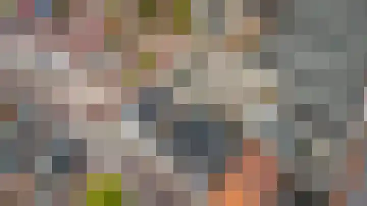 Wijngaardstraat 53 Goes thumbnail 34