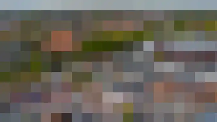 Wijngaardstraat 53 Goes thumbnail 35