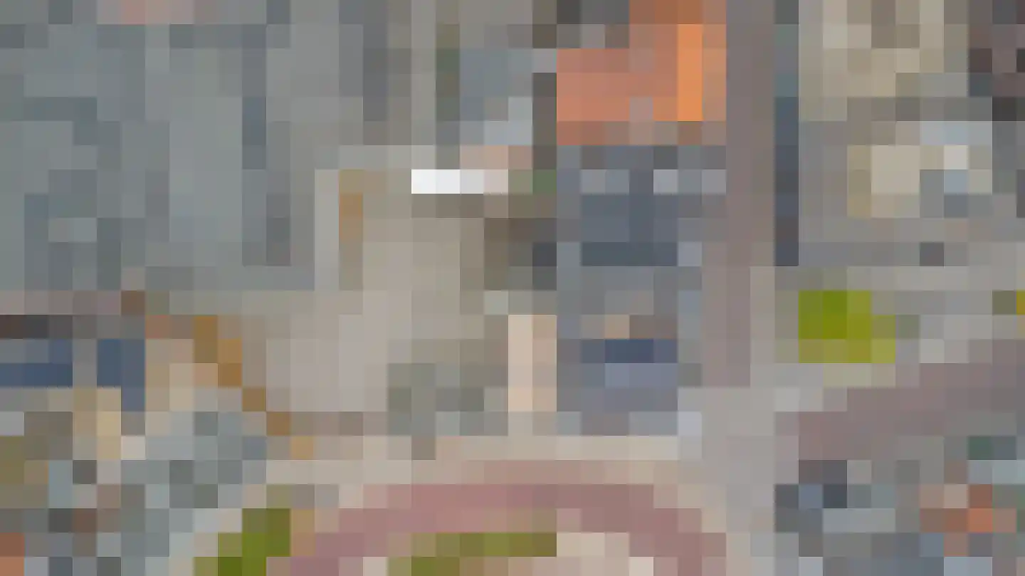 Wijngaardstraat 55 Goes thumbnail 26