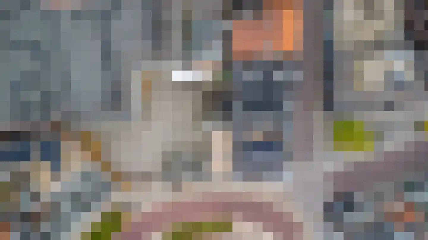 Wijngaardstraat 59 Goes thumbnail 23
