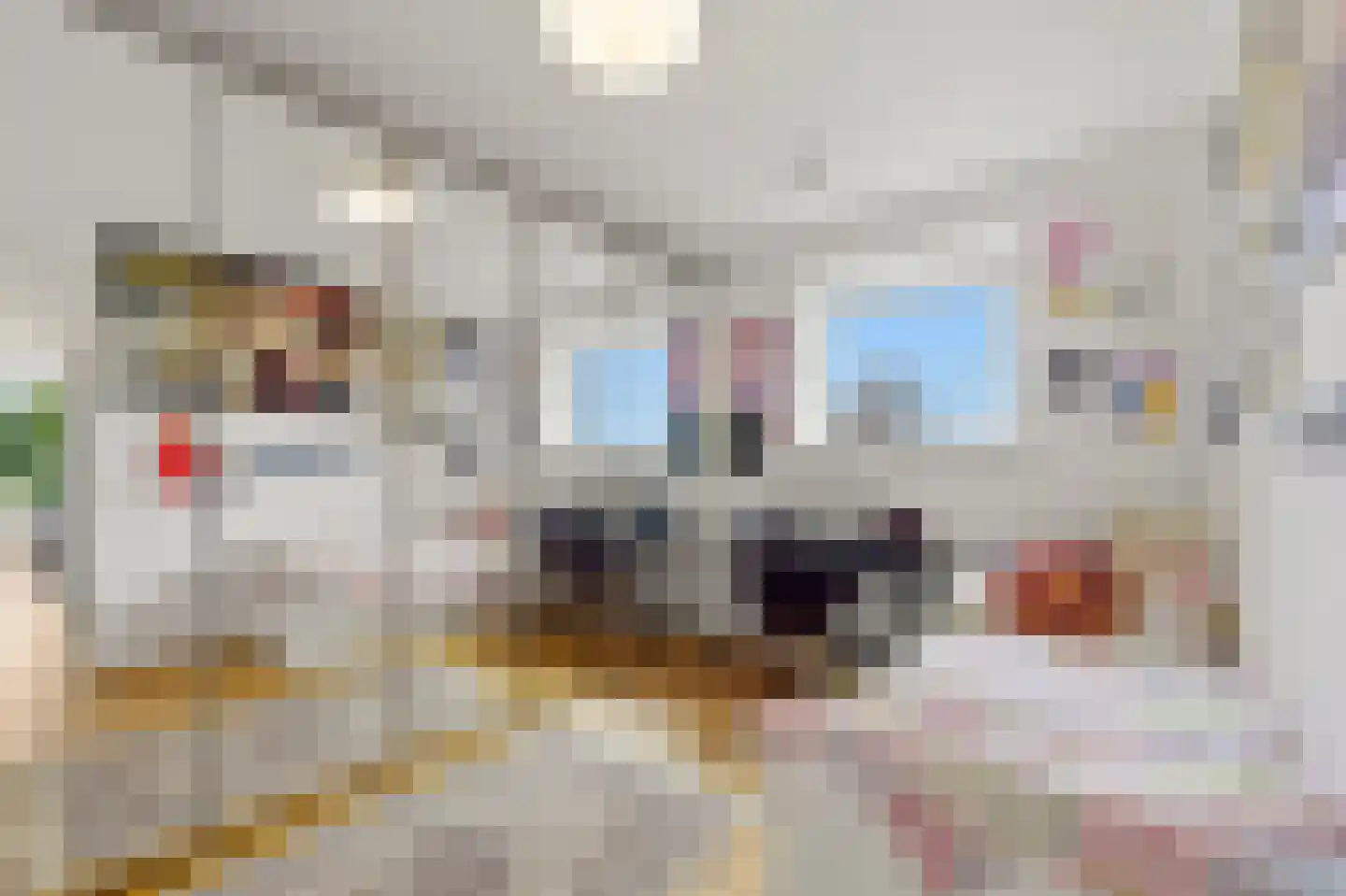 Wijnhaven 39 A Rotterdam thumbnail 13