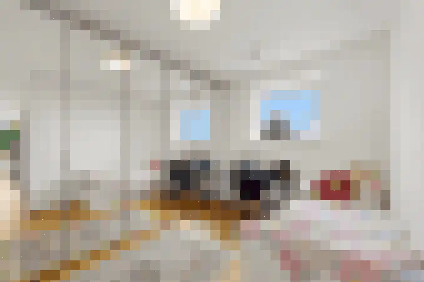 Wijnhaven 39 A Rotterdam thumbnail 14