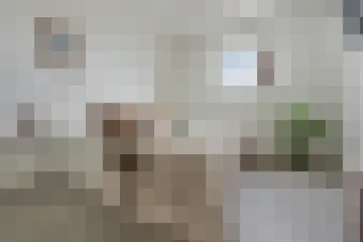 Wijnhaven 39 C Rotterdam thumbnail 13