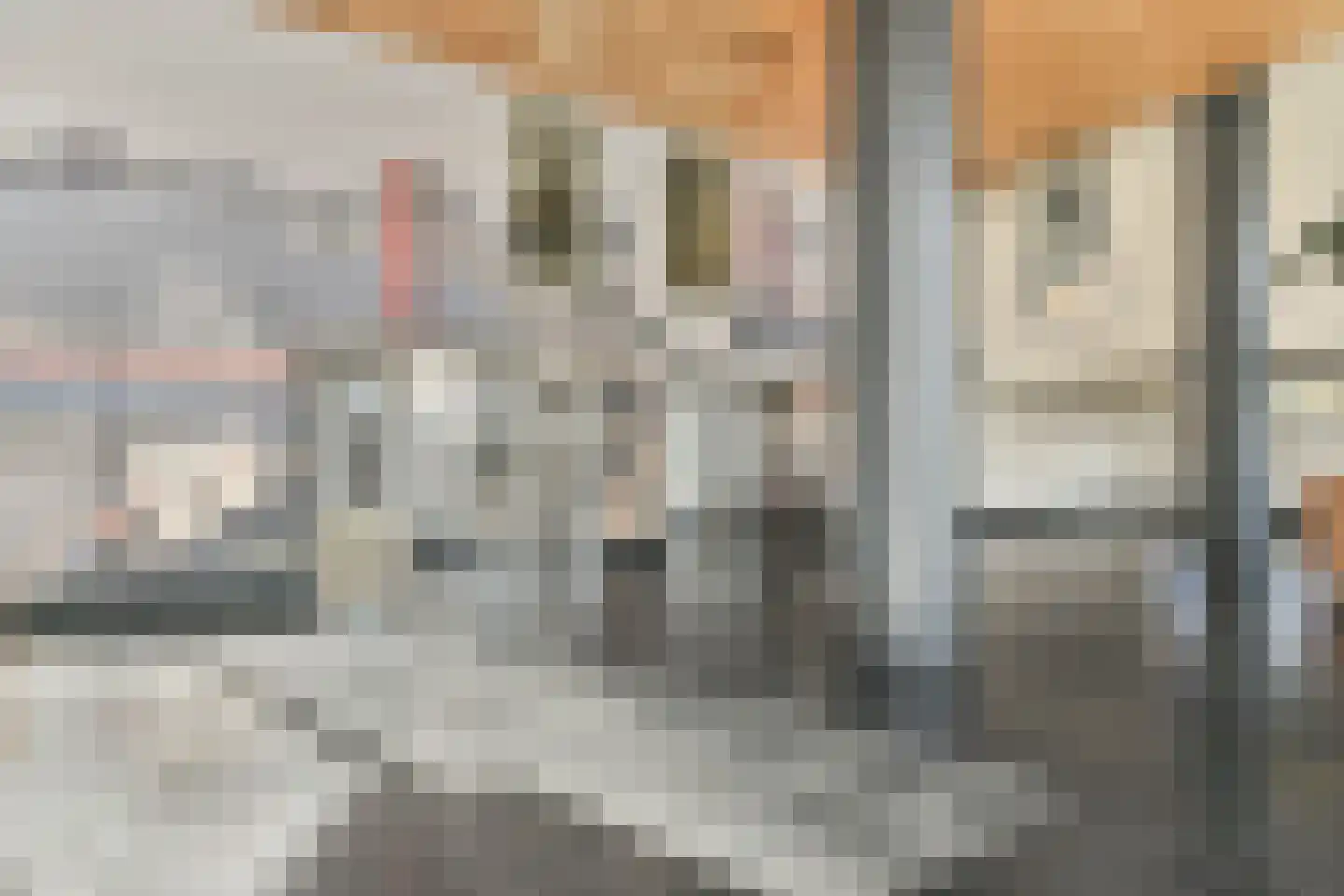 Wijnhaven 43 E Rotterdam thumbnail 16