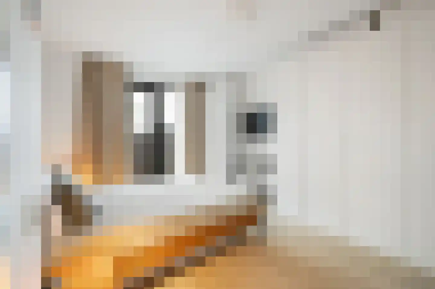 Wijnhaven 65 B 14 Rotterdam thumbnail 17