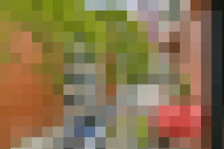 Wijnhaven 65 B 28 Rotterdam thumbnail 21