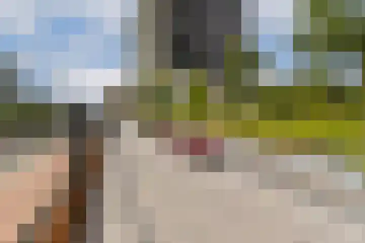 Wijnhaven 65 B 28 Rotterdam thumbnail 26