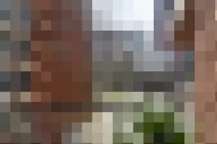 Wijnhaven 65 B 28 Rotterdam thumbnail 37