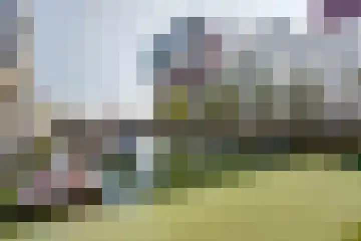 Wijnhaven 65 B 28 Rotterdam thumbnail 49