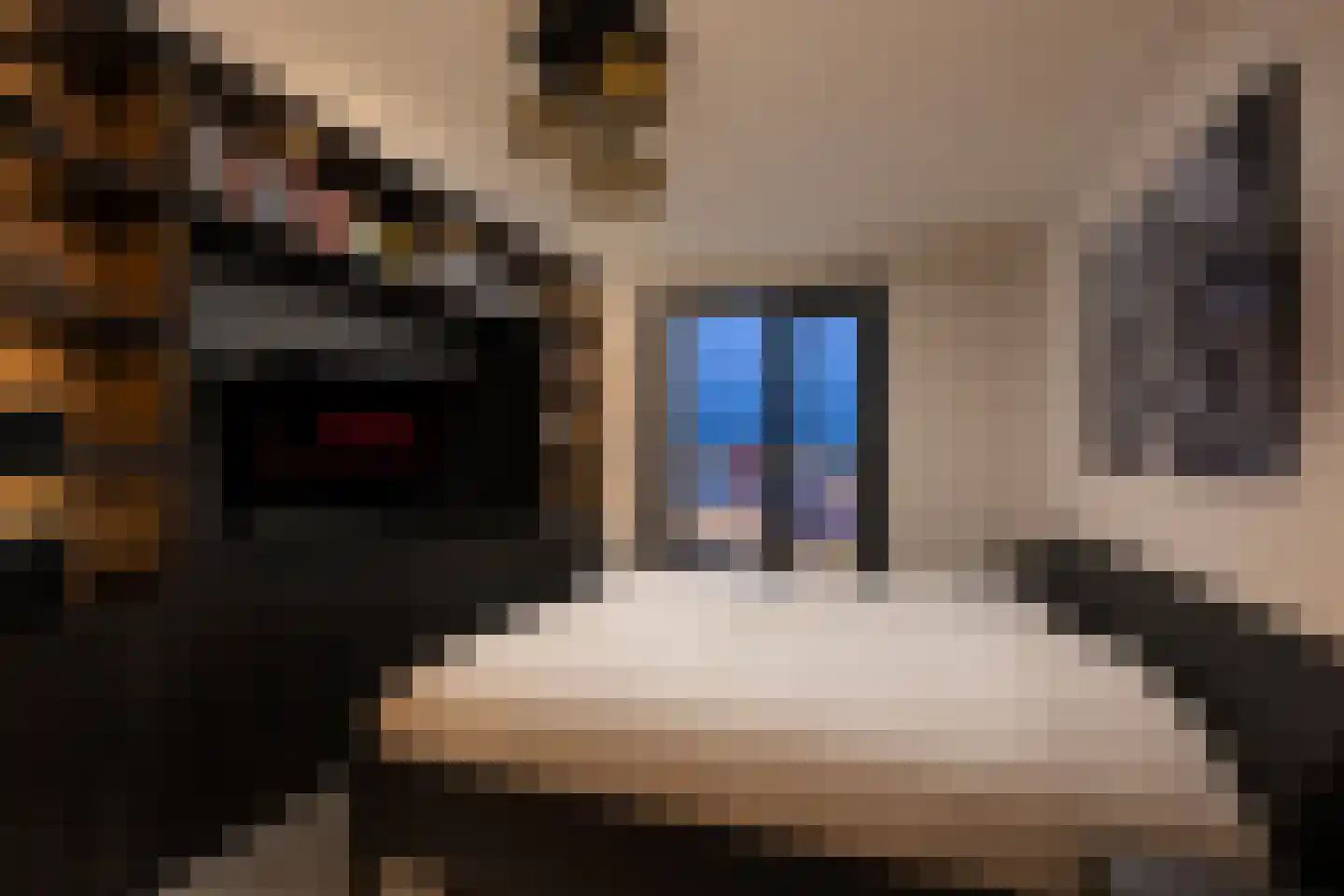Wijnhaven 65 C 18 Rotterdam thumbnail 23