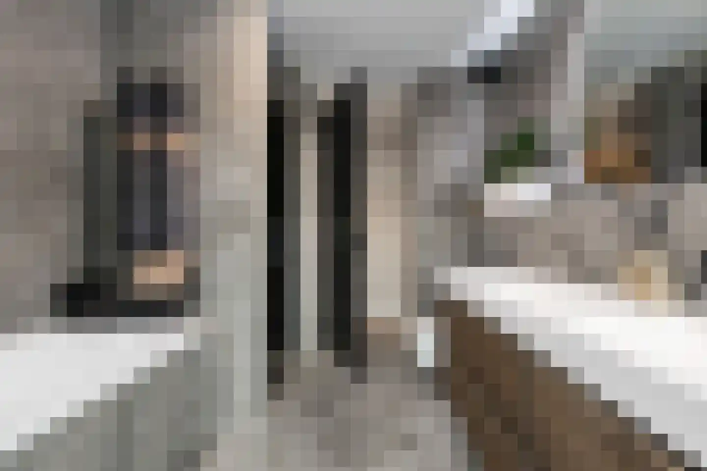 Wijnhaven 65 C 18 Rotterdam thumbnail 27