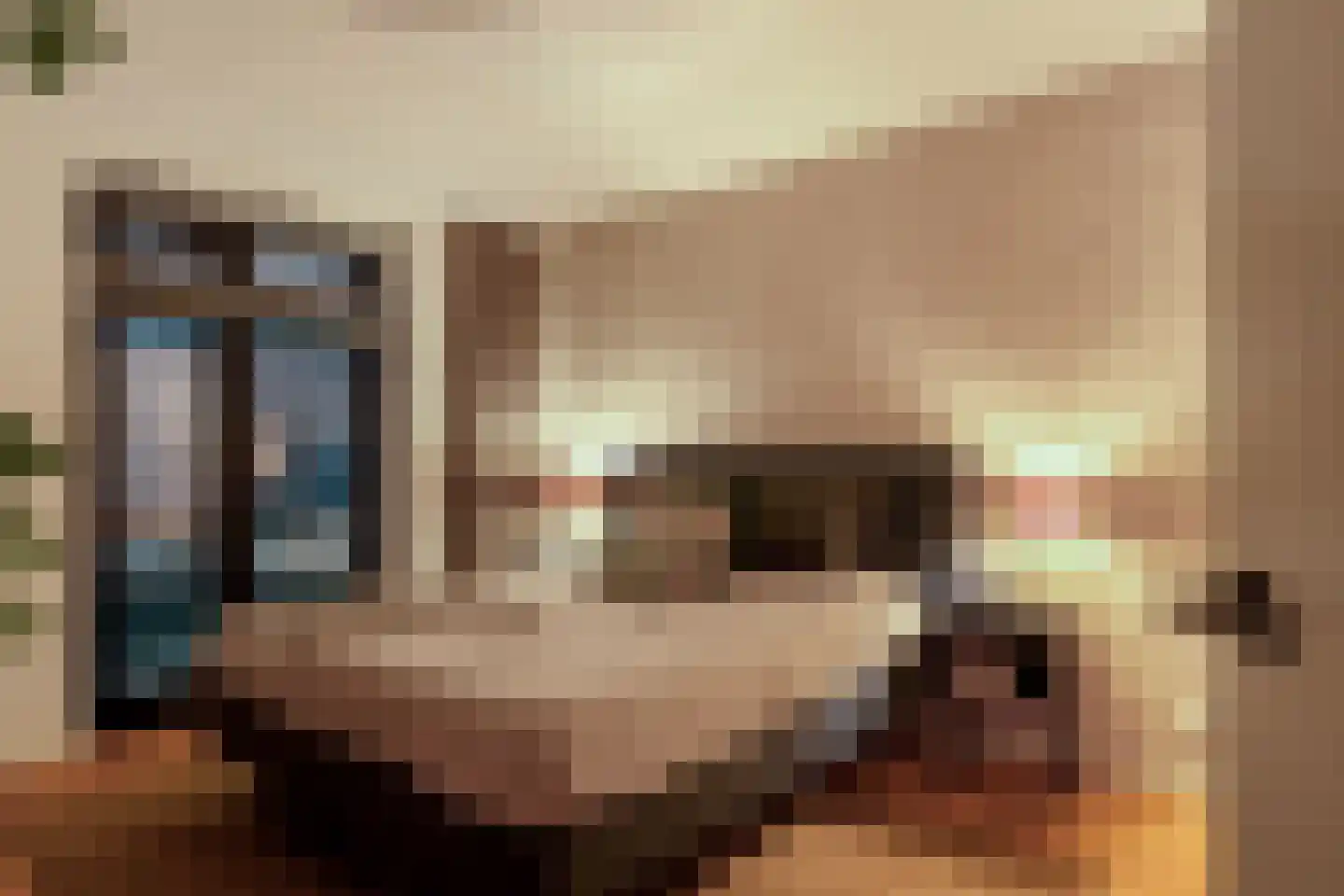 Wijnhaven 65 H 03 Rotterdam thumbnail 23