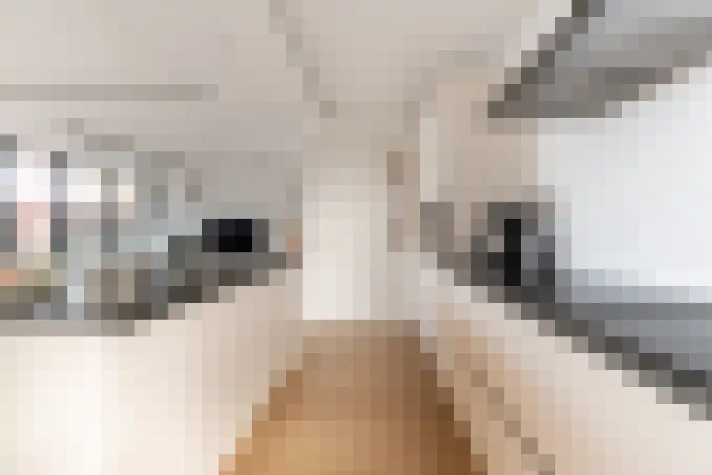 Wijnhaven 69 J Rotterdam thumbnail 7