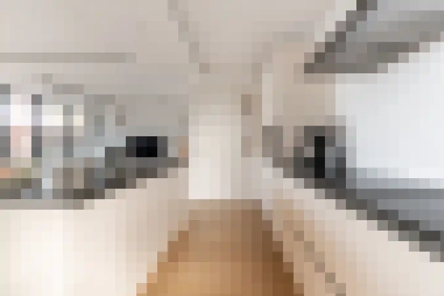 Wijnhaven 69 Z Rotterdam thumbnail 7