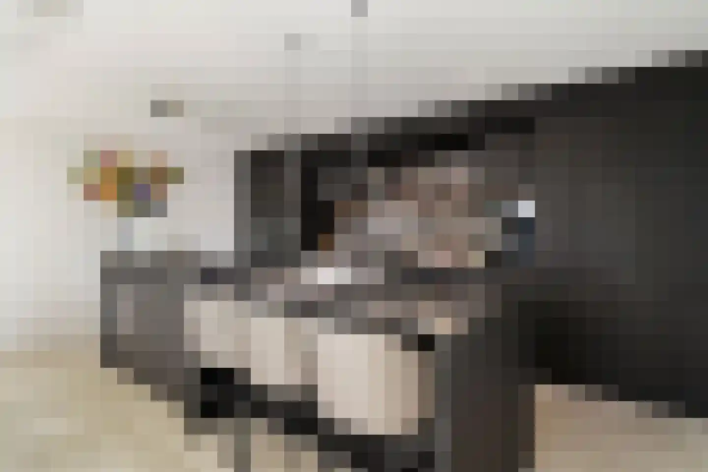 Wijnhaven 71 V Rotterdam thumbnail 19