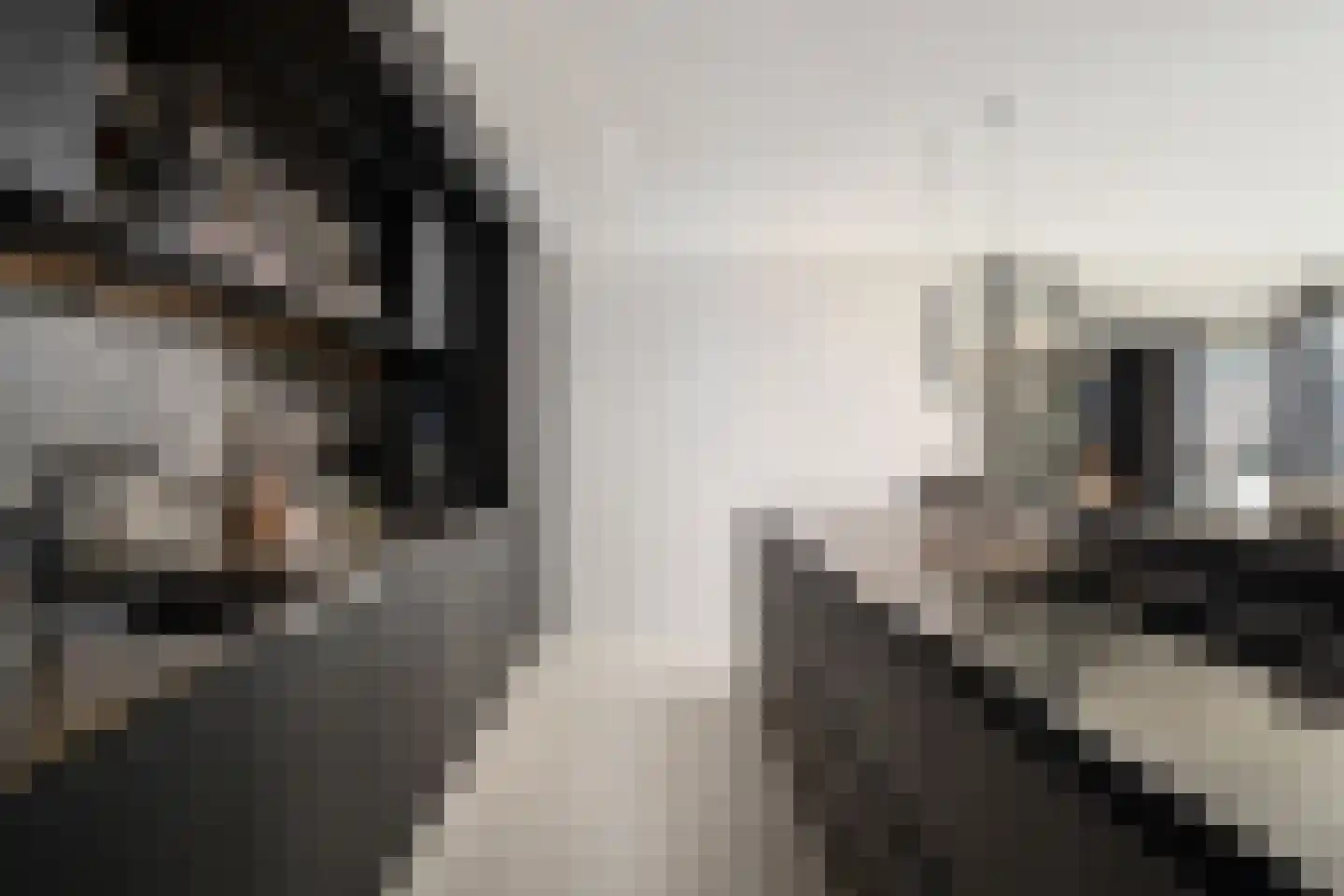 Wijnhaven 71 V Rotterdam thumbnail 20