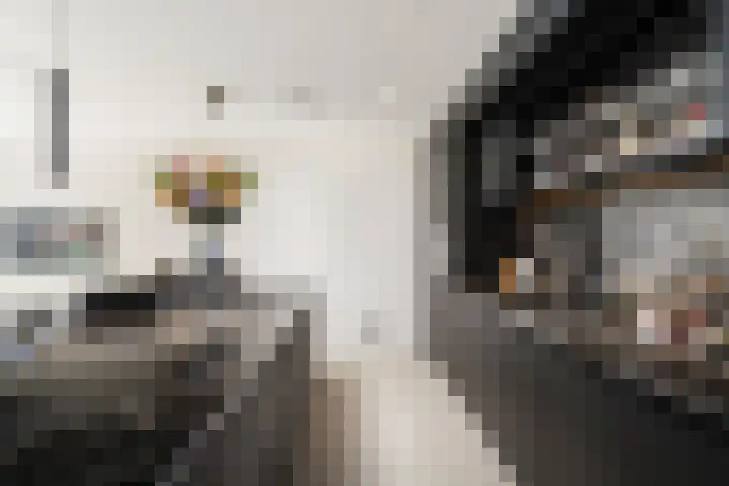 Wijnhaven 71 V Rotterdam thumbnail 21