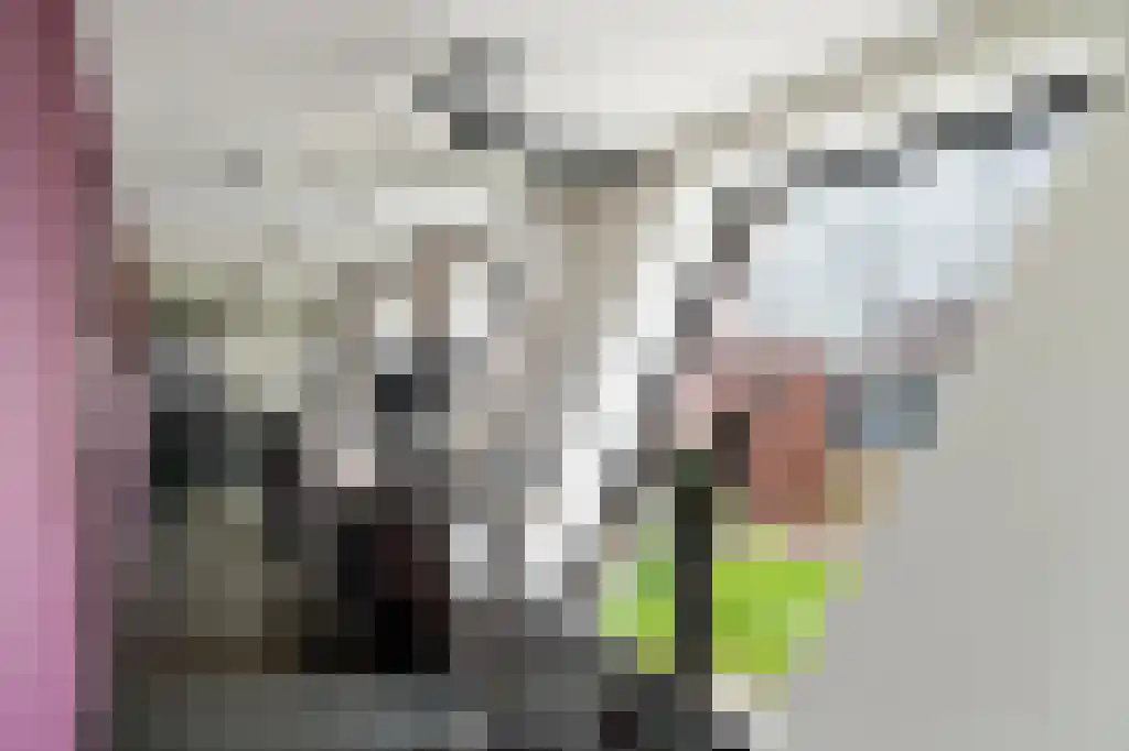 Wijnhaven 71 V Rotterdam thumbnail 59
