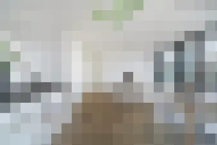 Wijnhaven 73 W Rotterdam thumbnail 11