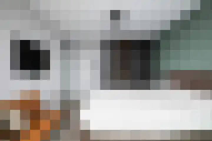 Wijnhaven 73 W Rotterdam thumbnail 16