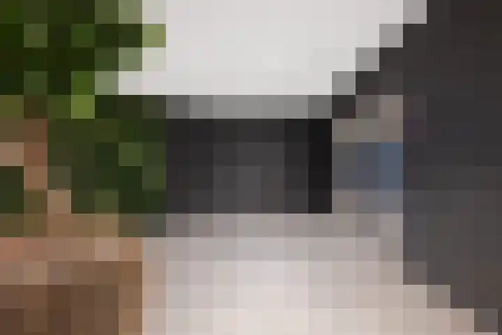 Wijnhaven 73 W Rotterdam thumbnail 30