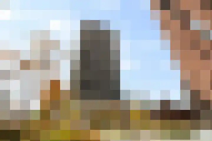 Wijnhaven 73 W Rotterdam thumbnail 39