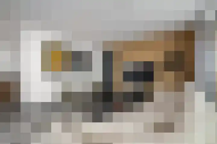 Wijnhaven 73 W Rotterdam thumbnail 4