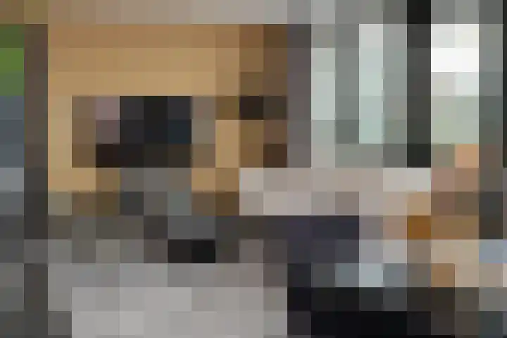 Wijnhaven 73 W Rotterdam thumbnail 5
