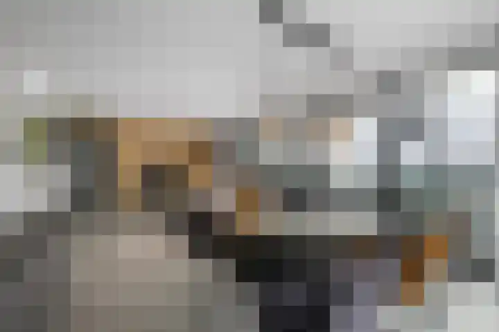Wijnhaven 73 W Rotterdam thumbnail 7